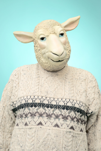SONY DSCPortrait of a man wearing a sheep mask and a wool sweater. Blue background with highlight.