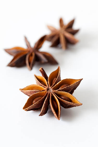 star anise  star anise stock pictures, royalty-free photos & images