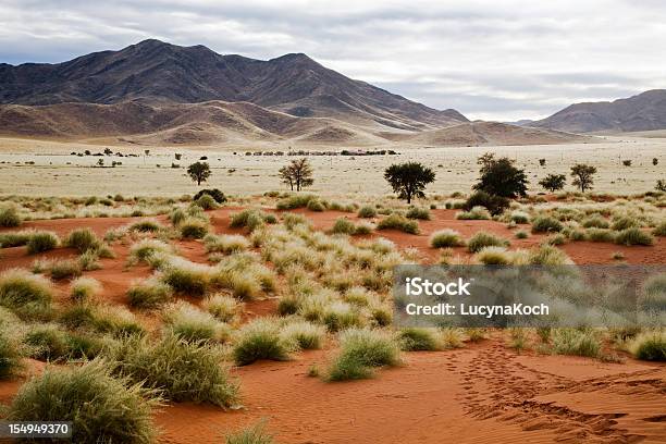 Namibialandschaft Stockfoto und mehr Bilder von Namibia - Namibia, Afrika, Abenteuer