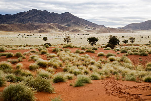Namibia prairie landscape stock photo