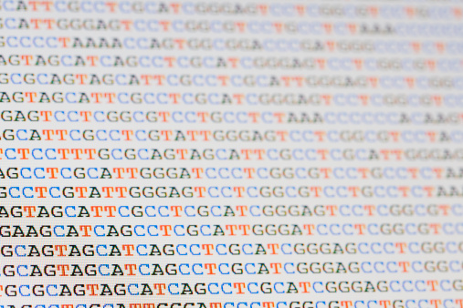 Photo of unaligned DNA sequences displayed on a computer screen. Shallow depth of focus with sharpest focus towards the lower left hand side of the image. Letters on the right hand side and top are out of focus but still recognisable.