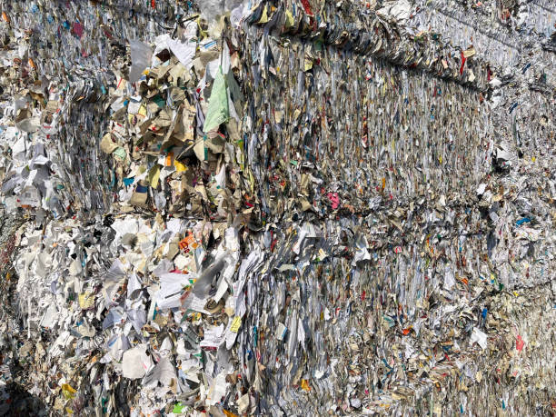 istock Pressed paper for recycling close-up. Waste recycling 1549522868