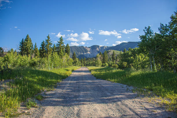 istock Dirt road to the mountains 1549524556