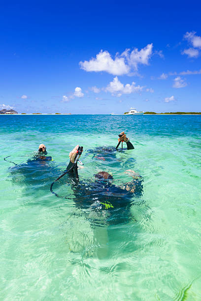 istock Diving training in a tropical turquoise island 154952501