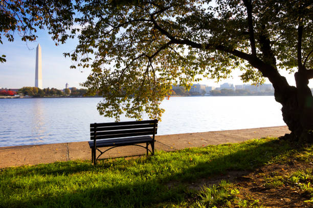 istock Tidal Basin and Washington Monument 154952560