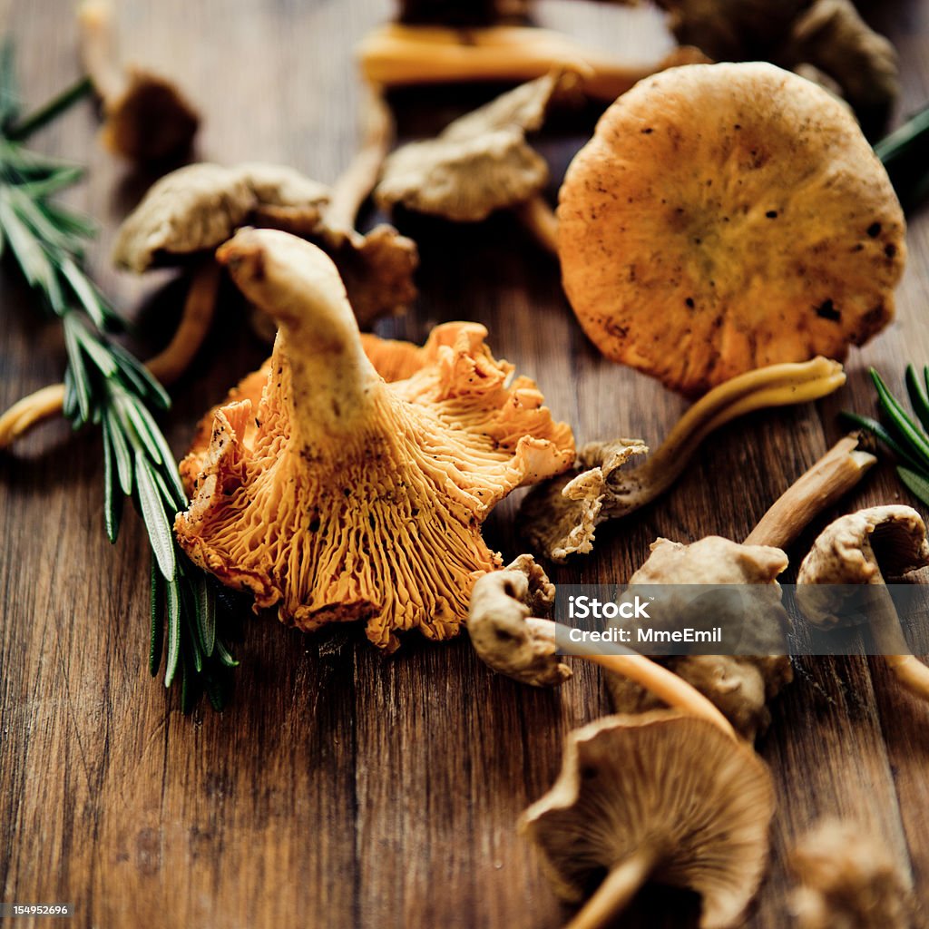 Funghi - Foto stock royalty-free di Cantharellus formosus