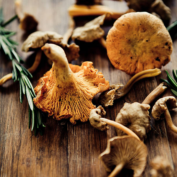 Mushrooms on a wooden table for cooking stock photo
