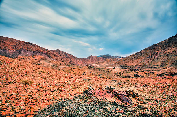 desierto tierra, richtersveld, sudáfrica - richtersveld national park fotografías e imágenes de stock