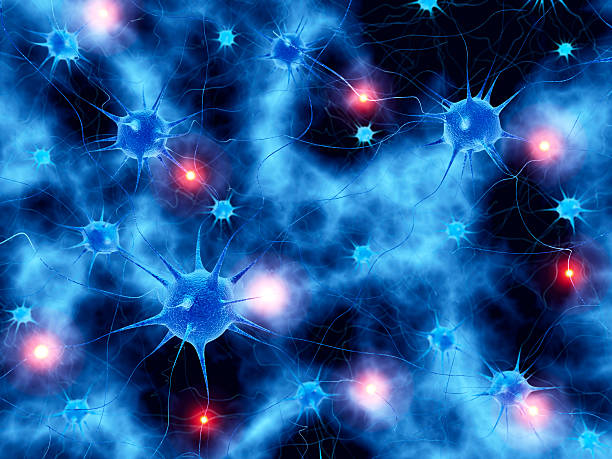 neurale sfondo astratto di rete attiva - human nervous system synapse brain cell foto e immagini stock