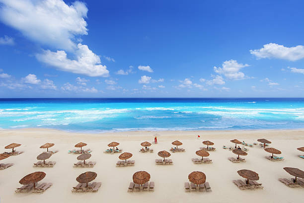 tropical beach resort - travel luxury aerial view beach foto e immagini stock