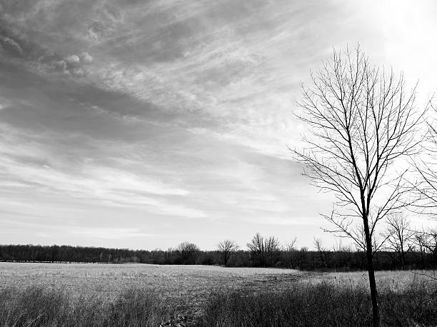 Black and White Landscape stock photo