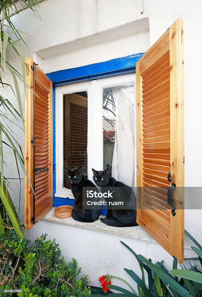 Zwei Katzen - Lizenzfrei Athen - Griechenland Stock-Foto
