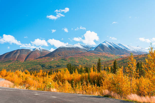 Beautiful Mountain peak in Alaska,USA . stock photo