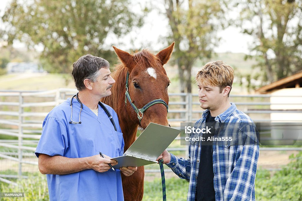 Veterinario discutere il trattamento con cavallo proprietario - Foto stock royalty-free di Cavallo - Equino