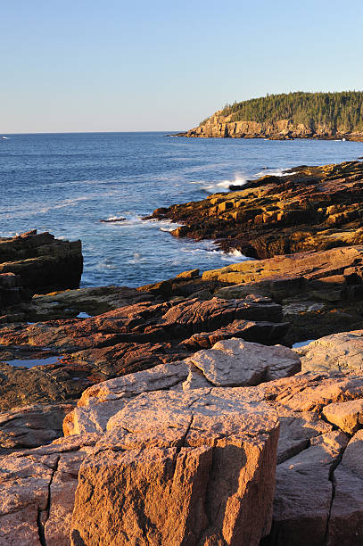 istock Scenic Coast in Acadia National Park 154954504