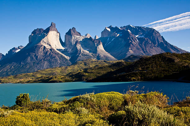 istock Torres del Paine National Park Chile 154954576