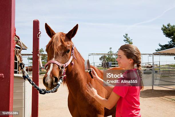 Portret Nastolatka Z Jej Konia Higiena - zdjęcia stockowe i więcej obrazów Koń - Koń, Groomer zwierząt, Szczotka do włosów