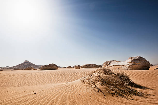 wüstensonne - white desert stock-fotos und bilder