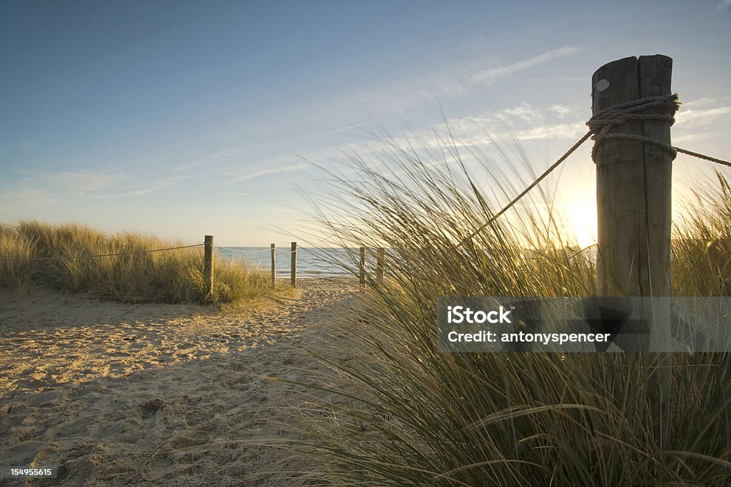 À travers les dunes. - Photo de Baie de Studland libre de droits
