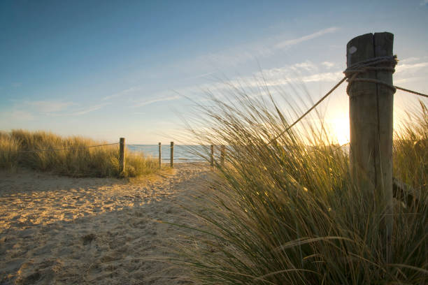 à travers les dunes. - dorset photos et images de collection