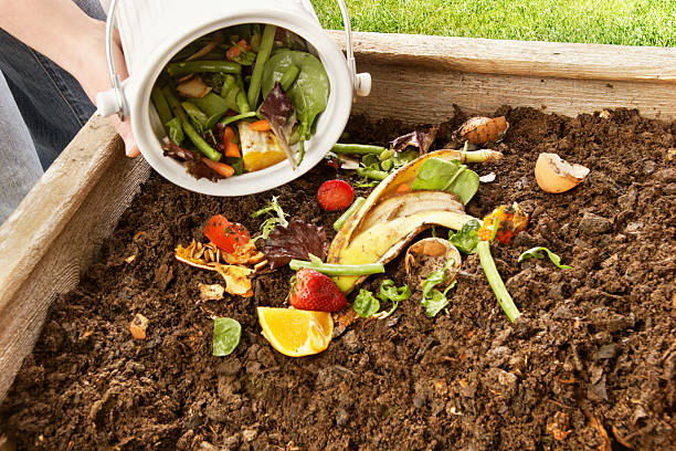 Composting stock photo
