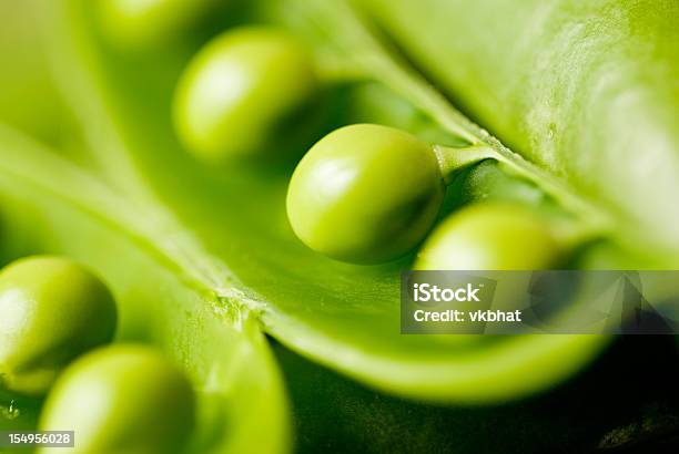 Белый Горох — стоковые фотографии и другие картинки Зелёный горошек - Зелёный горошек, Макрофотография, Вегетарианское питание