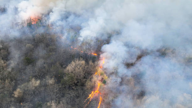 Climate change, Tropical wildfires release carbon dioxide (CO2) emissions that contribute to climate change and global warming. Climate change, Tropical wildfires release carbon dioxide (CO2) emissions that contribute to climate change and global warming. emission nebula stock pictures, royalty-free photos & images