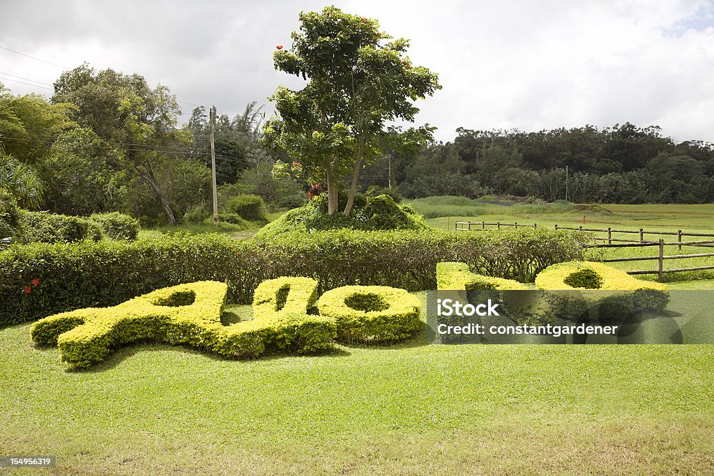 Nature Spells Out Hawaiian ALOHA  Aloha - Single Word Stock Photo