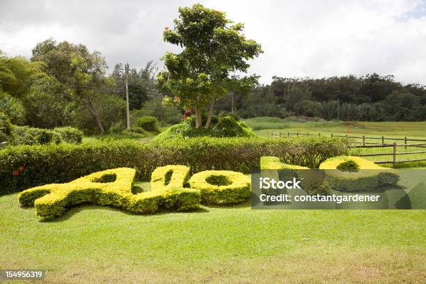 Nature Spells Out Hawaiian Aloha Stock Photo - Download Image Now - Aloha - Single Word, Hedge, Single Word