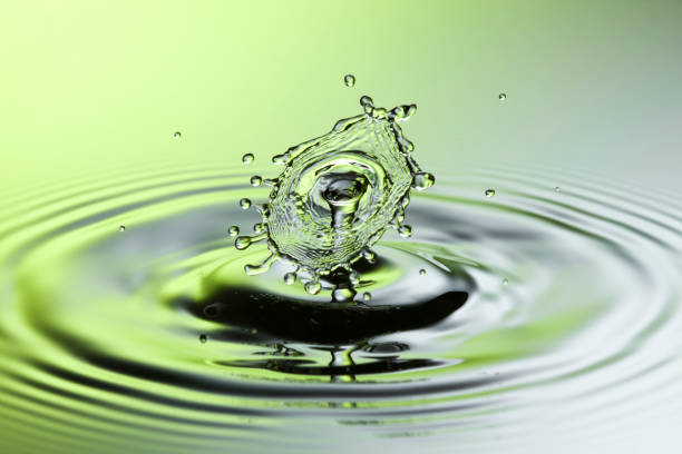 Freeze frame macro photograph of falling water drops into water.