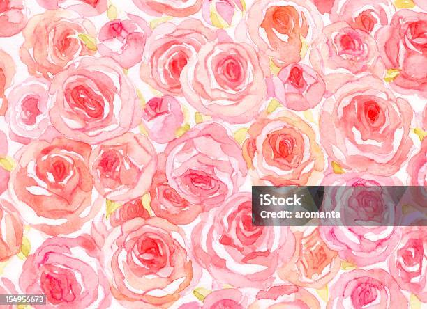 Un Acquerello Rose - Immagini vettoriali stock e altre immagini di Rosa - Fiore - Rosa - Fiore, Dipinto ad acquerelli, Fiore