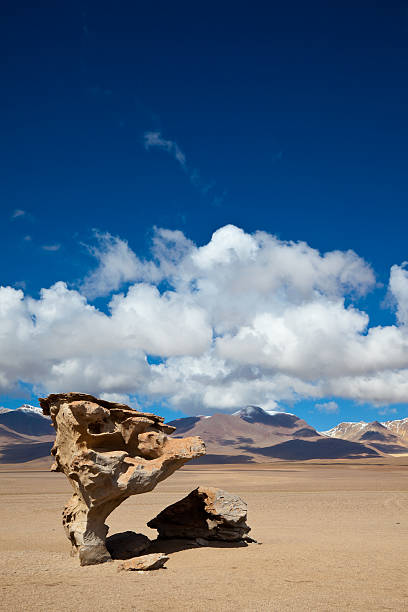 The Arbol de Piedra (Stone Tree) is a volcanic rock formation in Bolivia. It is surrounded by a desert area and the mountain chain is in the background.