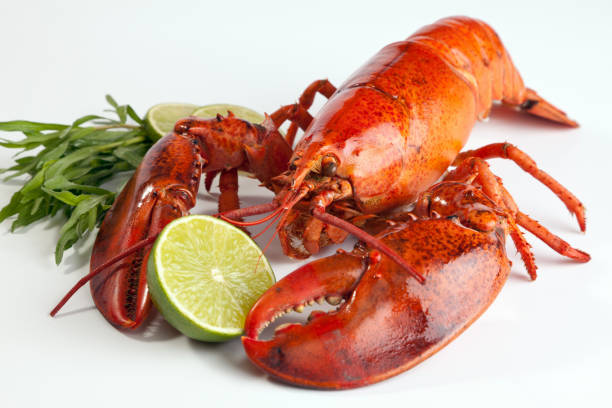 istock A lobster with lemon on a white background 154957274