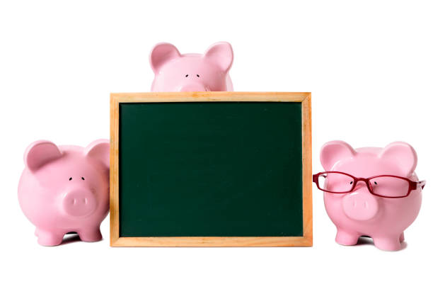 Three pink piggy banks with blank blackboard.  Isolated on white with space for text.  Alternative version shown below:
