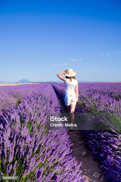 Attraverso La Natura - Fotografie stock e altre immagini di Provenza-Alpi-Costa Azzurra - Provenza-Alpi-Costa Azzurra, Vista posteriore, 14-15 anni