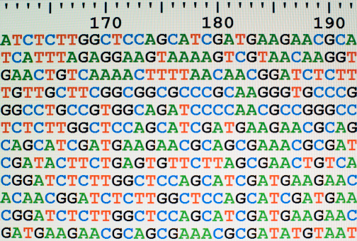Photo of unaligned DNA sequences displayed on an LCD computer screen with a scale bar at the top.