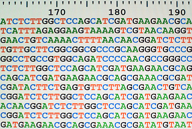 Unaligned DNA sequences on LCD screen with numbers scale Photo of unaligned DNA sequences displayed on an LCD computer screen with a scale bar at the top. sequential series stock pictures, royalty-free photos & images