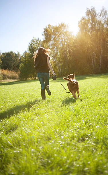 istock Young woman with labrador 154959881