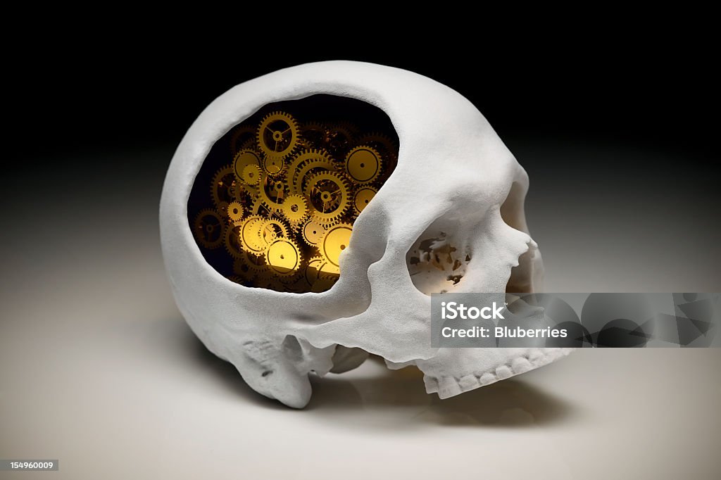 Human head with Gears Inner workings of the Human Brain. Anatomy Stock Photo