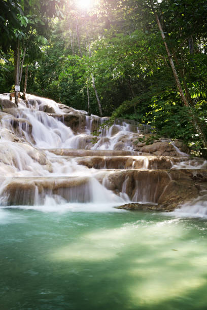 Dunns River Falls Dunn's River Falls, about 1,000 feet (300 m) high, major tourist attraction in Jamaica. dunns river falls stock pictures, royalty-free photos & images