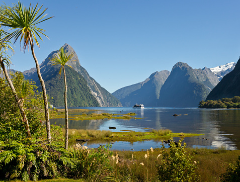 Cruise to Milford Sound Fjord, New, Zealand