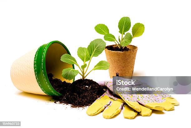 Pronto Per Piantare - Fotografie stock e altre immagini di Agricoltura - Agricoltura, Ambiente, Botanica