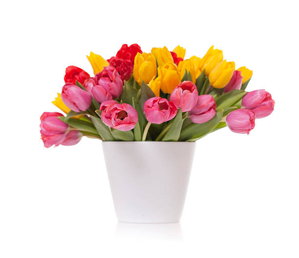 Colorful spring flowers. Copy Space on right. YOU MIGHT ALSO LIKE THIS: