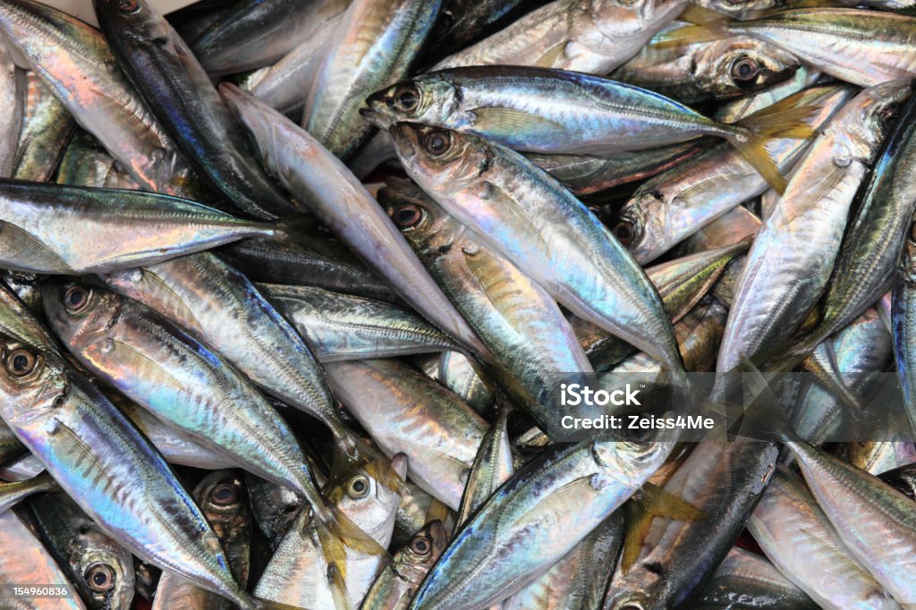 Pesce fresco nel mercato - Foto stock royalty-free di Acciuga