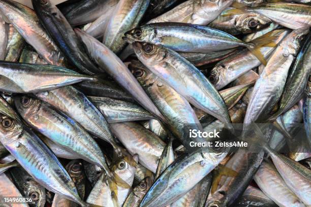 Pesce Fresco Nel Mercato - Fotografie stock e altre immagini di Acciuga - Acciuga, Alimentazione sana, Argentato