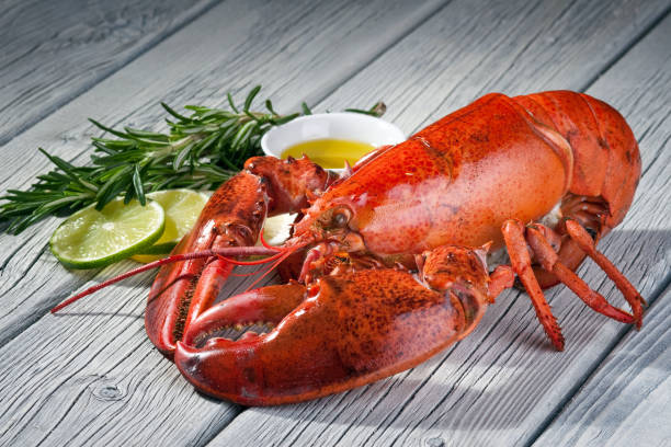 Close-up of a lobster on a wood table Cooked lobster  with lemon and rosemary. lobster seafood stock pictures, royalty-free photos & images