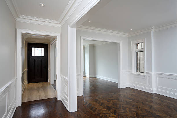 istock Brand New North American Home 154960935