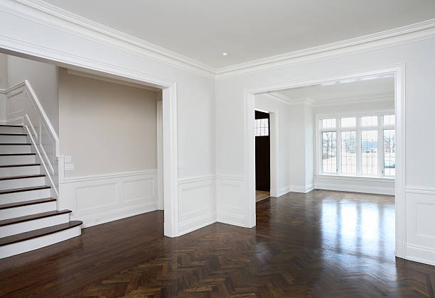 istock Brand New North American Home 154960968