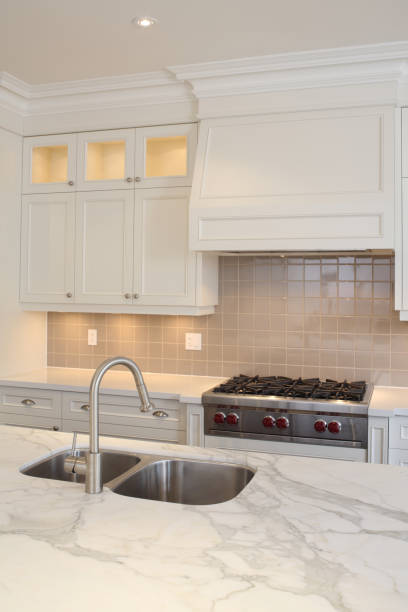 istock Brand New North American Home 154961018