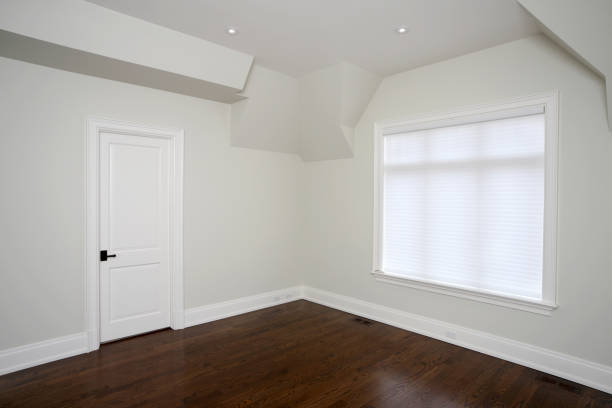 istock Brand New North American Home 154961345